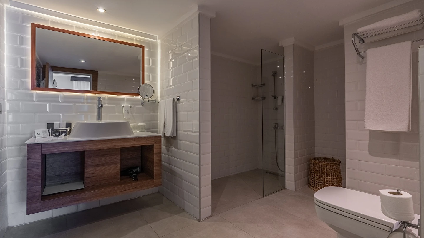 Doğal taş dokulu banyo